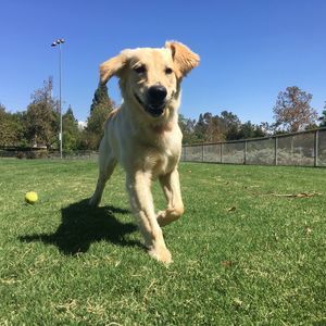 Meet your Posher, Jose